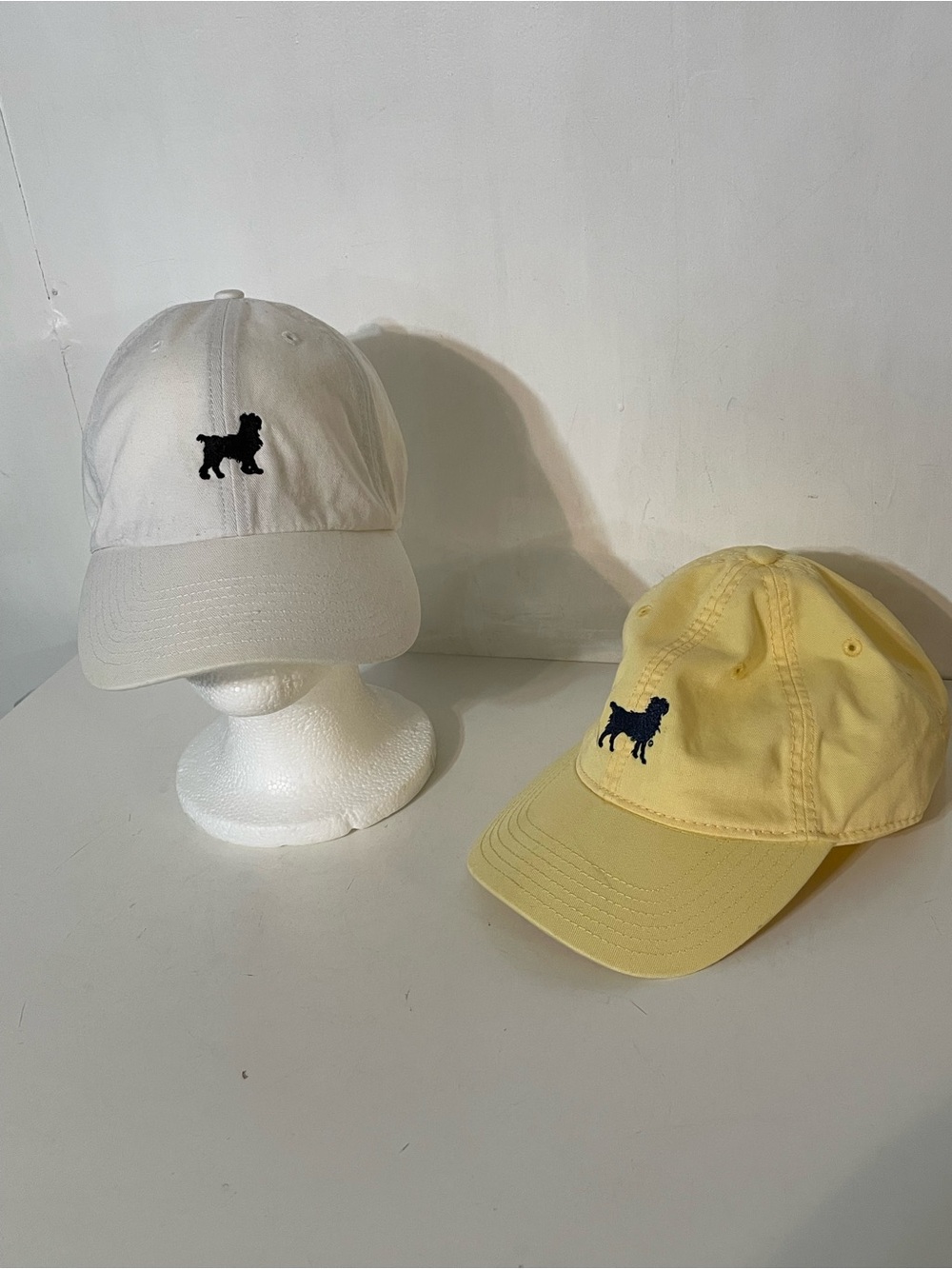 Sit! Stay! Hats